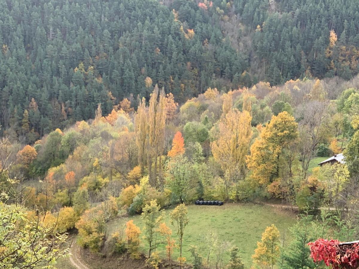 Casa Rural Pirineu Neva Экстерьер фото